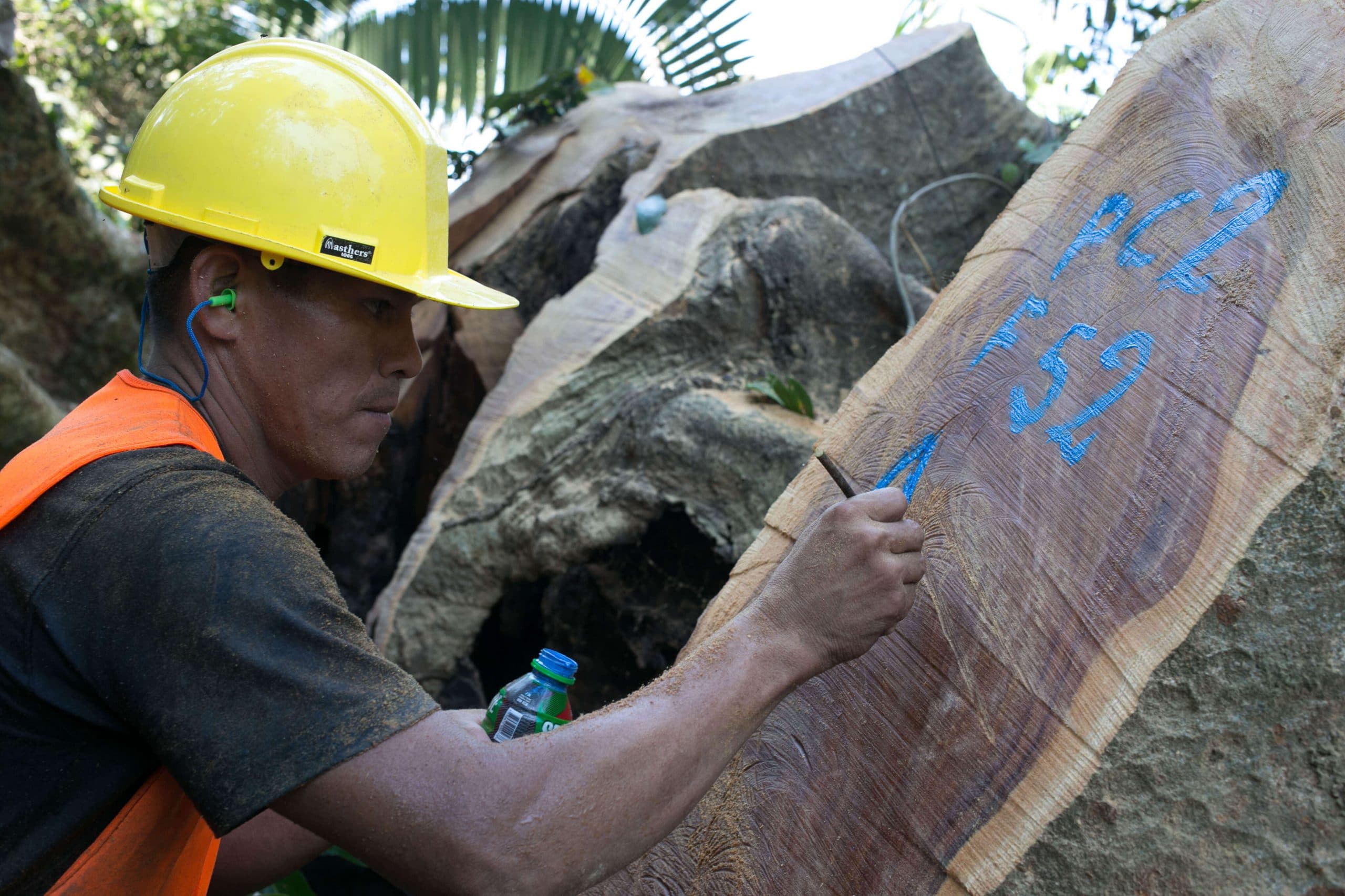 Forester writing tracking numbers on a log